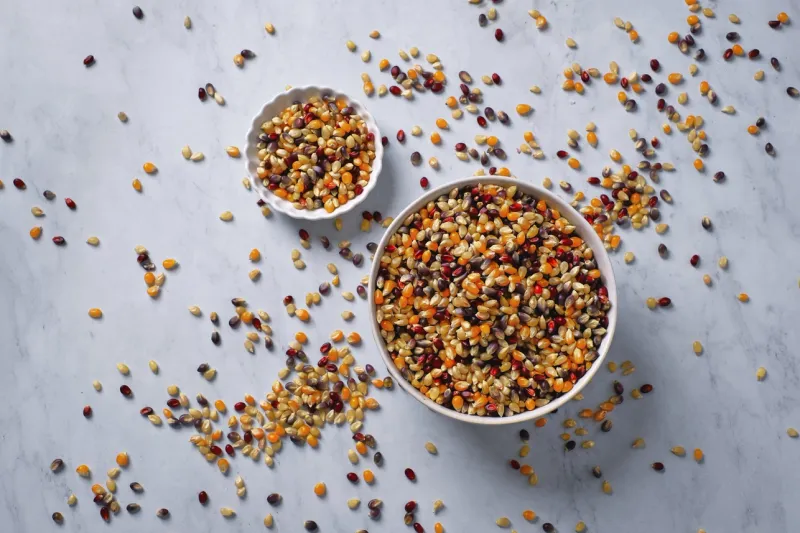Amish Country 1lb. Rainbow Popcorn