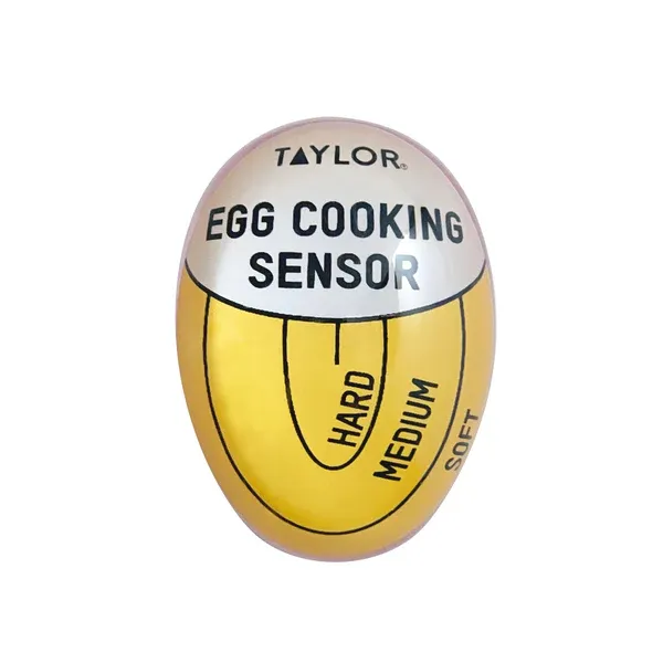 Taylor Egg Timer