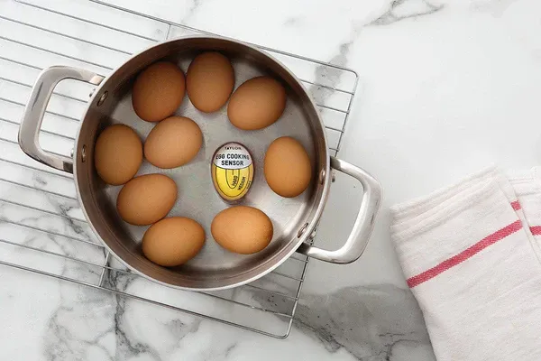 Taylor Egg Timer