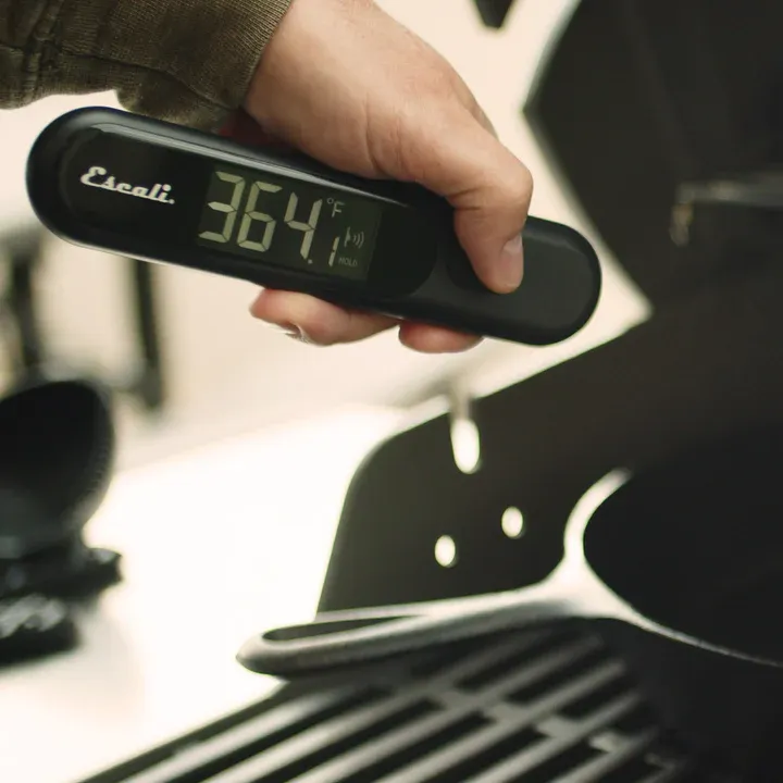 2in1 Infrared/Probe Thermometer
