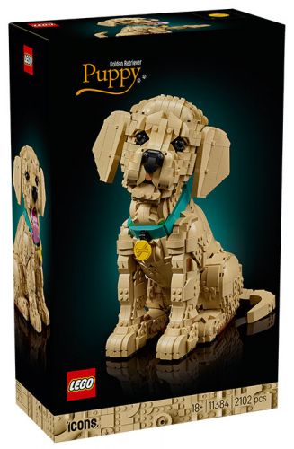 11384 Icons Cucciolo di Golden Retriever