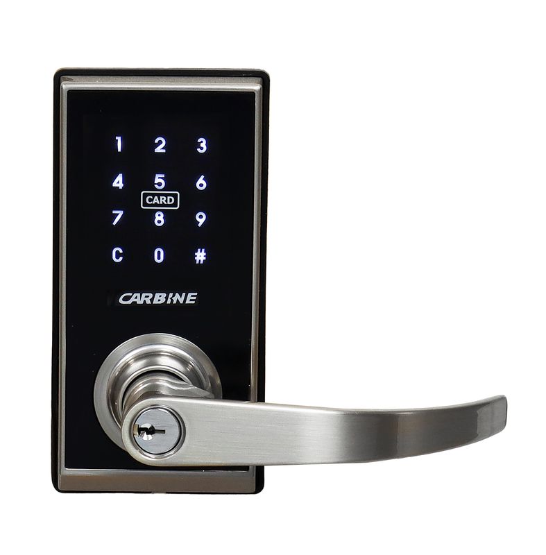 Carbine CEL2 Digital Leverset Standalone