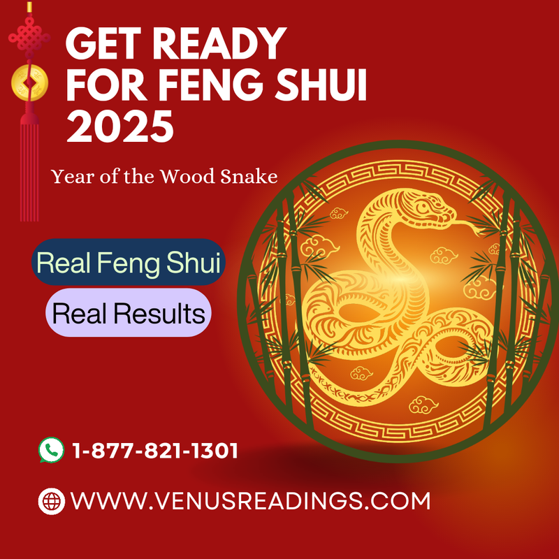 Yearly 2025 Feng Shui Updates (For Those Who Already Purchased A Consultation)