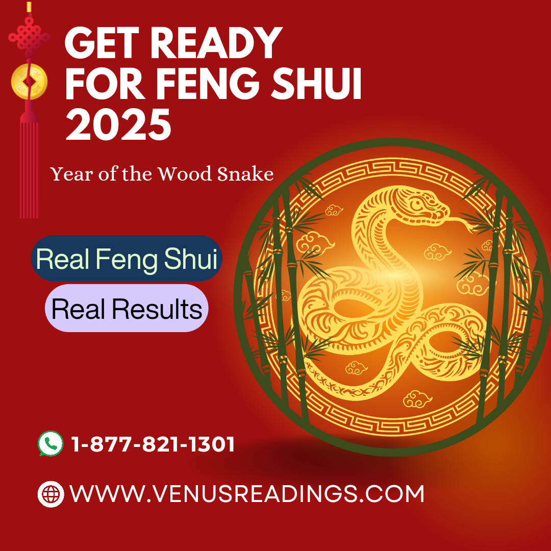 Yearly 2025 Feng Shui Updates (For Those Who Already Purchased A Consultation)