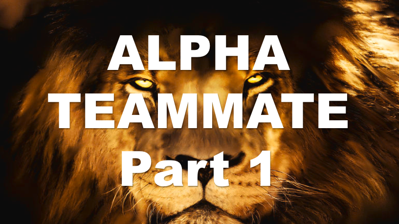 ALPHA TEAMMATE Part 1 - Leadership Lesson PP