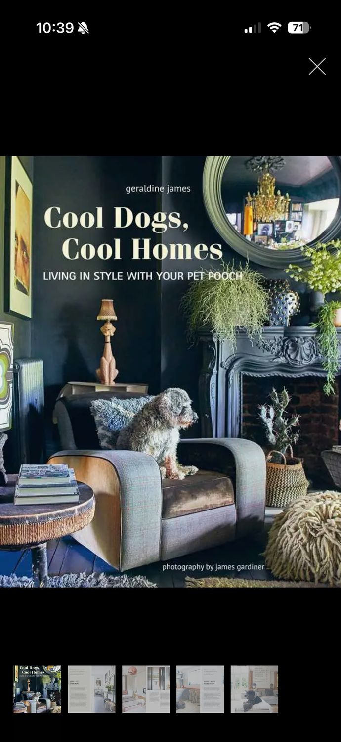cool dogs
