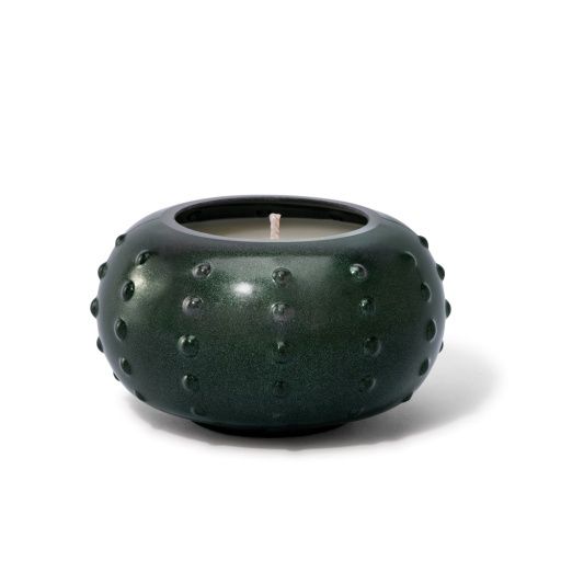 Forest Green Candlescapes Teakwood Fir Candle, 10 oz