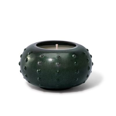 Forest Green Candlescapes Teakwood Fir Candle, 10 oz