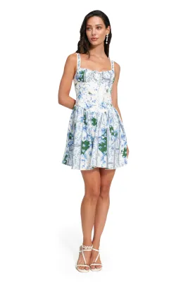 Spring Ivy