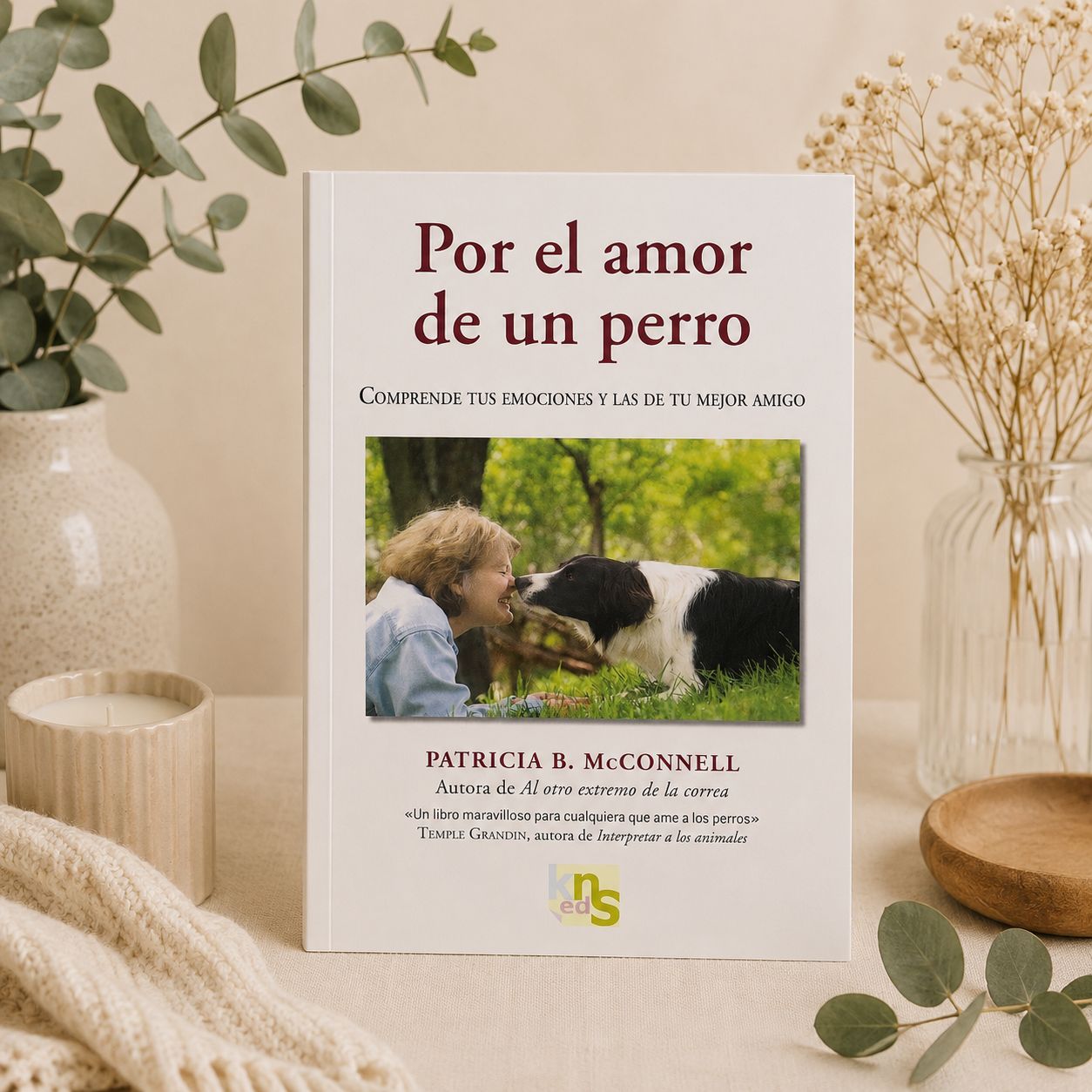 Por el Amor de un Perro