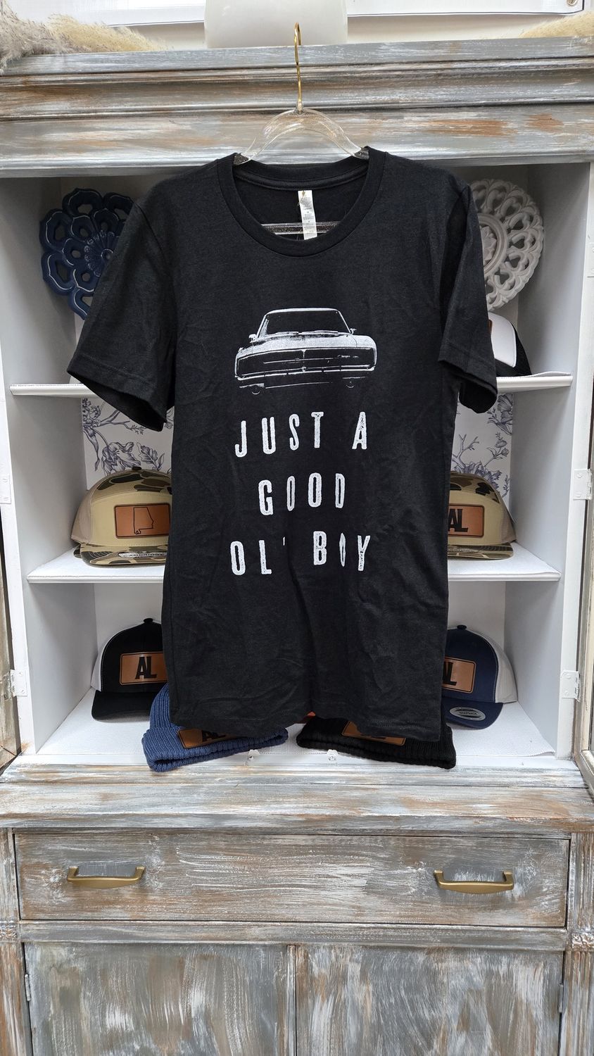 Just A Good Ol' Boy | Southern T-Shirt