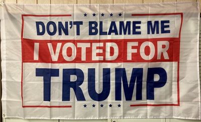 Dont Blame Me I Voted For Trump 3x5