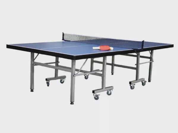 Indoor Table Tennis