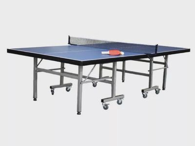 Indoor Table Tennis