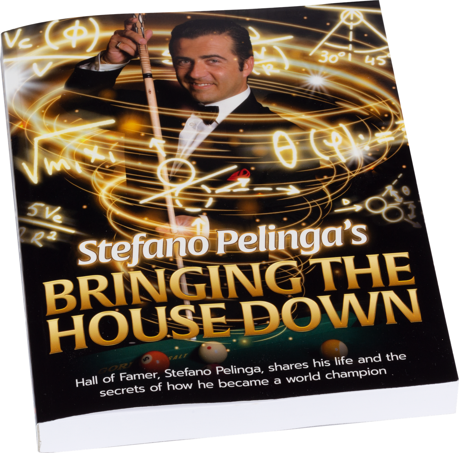 Stefano Pelinga's Bringing the House Down Book