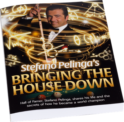 Stefano Pelinga's Bringing the House Down Book