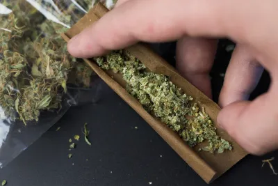 Infused Blunts