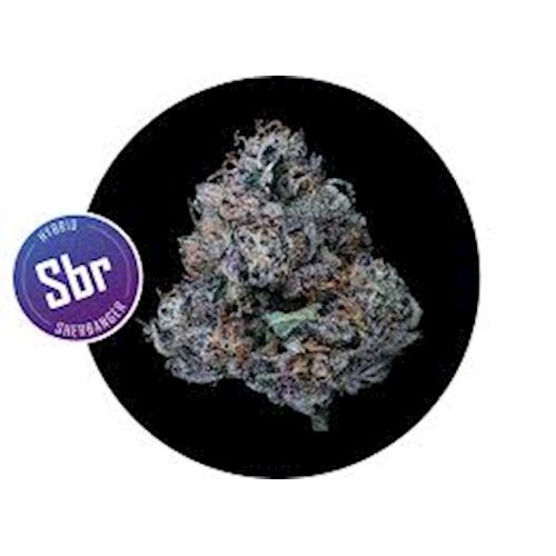 3.5g Sherbanger SIGNATURE Flower HYBRID - SubX