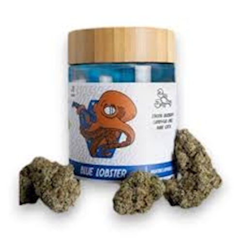 3.5g Blue Lobster Flower HYBRID - High Tide 3.5g Blue Lobster Flower HYBRID - High Tide