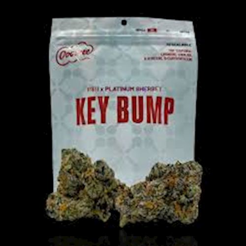 Ooowee - 3.5G Flower - Key Bump - 3.5g Sativa Ooowee - 3.5G Flower - Key Bump - 3.5g Sativa