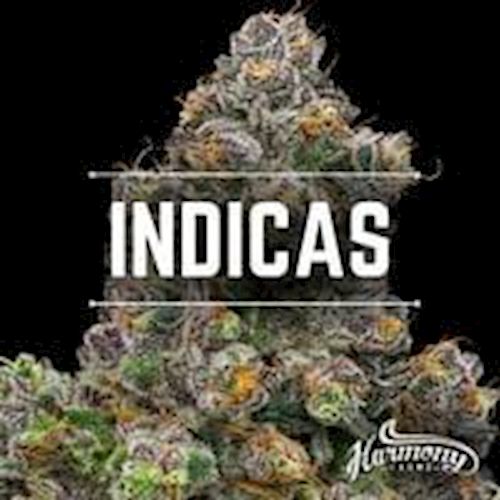 Flower - White Tara - 2g - Indica Flower - White Tara - 2g - Indica