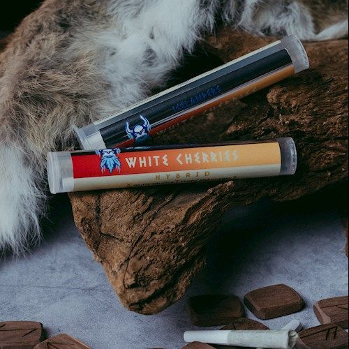 Viking Cannabis - White Cherries - Infused - 2x0.5g - Hybrid Viking Cannabis - White Cherries - Infused - 2x0.5g - Hybrid