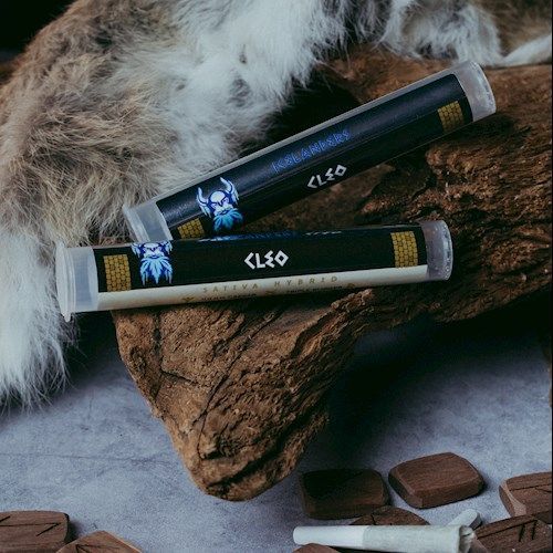 Viking Cannabis - Cleo - Infused - 2x0.5g - Sativa Viking Cannabis - Cleo - Infused - 2x0.5g - Sativa