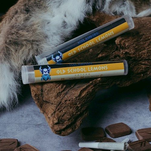Viking Cannabis - Old School Lemons - Infused - 2x0.5g Sativa Viking Cannabis - Old School Lemons - Infused - 2x0.5g Sativa