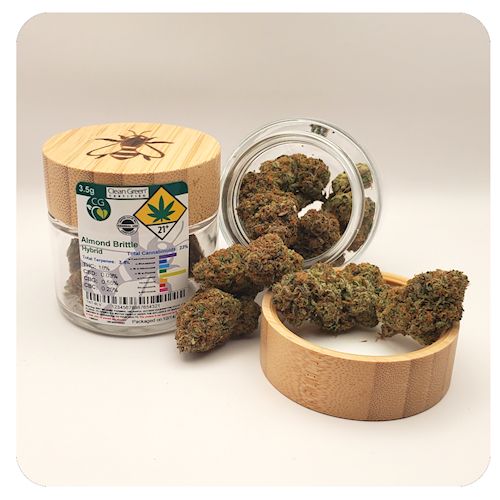 Lazy Bee - Flower - Kiwi Daiquiri - 03.5g - Jar - Sativa