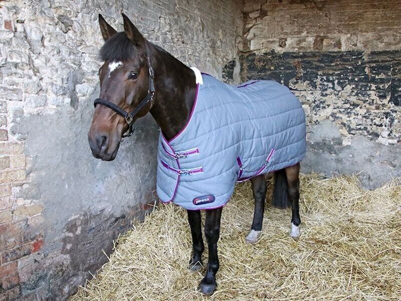 |Horse Stable Rug - DefenceX System 300 stable rug