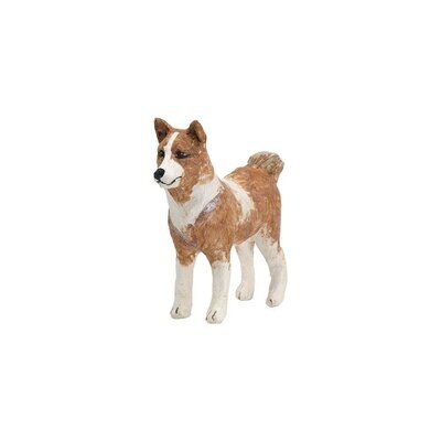 Nativity Animal  Canaan Dog