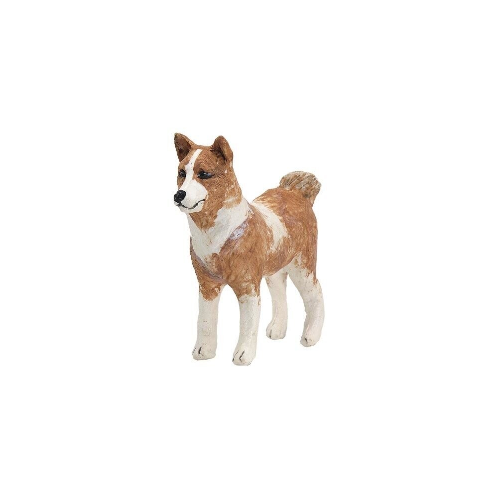 Nativity Animal  Canaan Dog