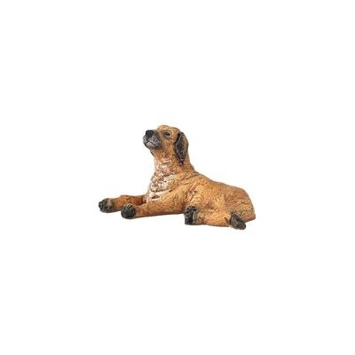 Nativity Animal  Dog