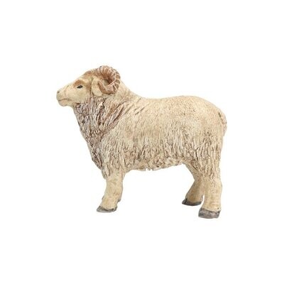Nativity Animal  Ram