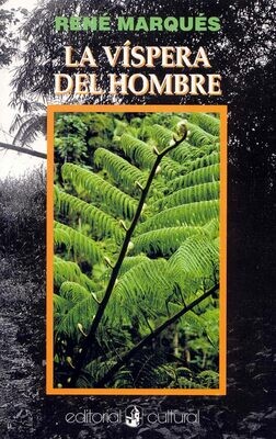 NINTH GRADE - LA VISPERA DEL HOMBRE - FVE - ISBN 9781734337341