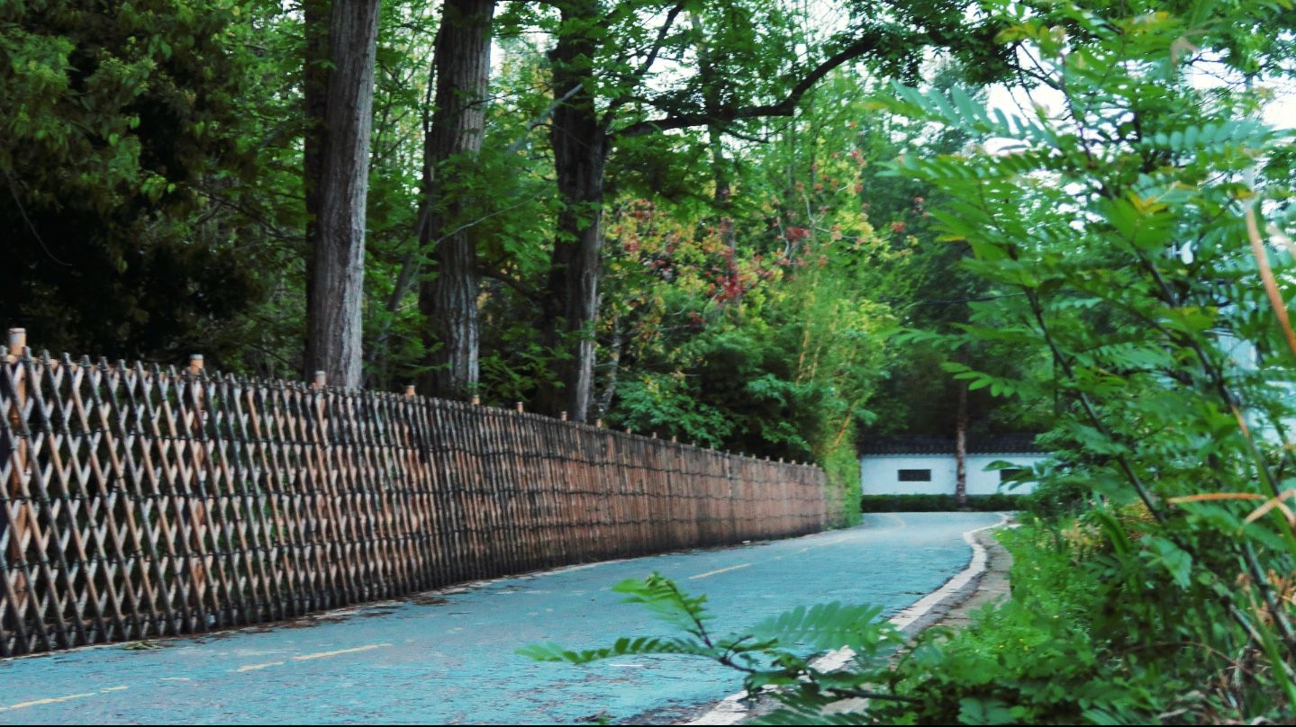 Natural Outskirts Bike Tour with Local Guide