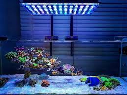 Lighting