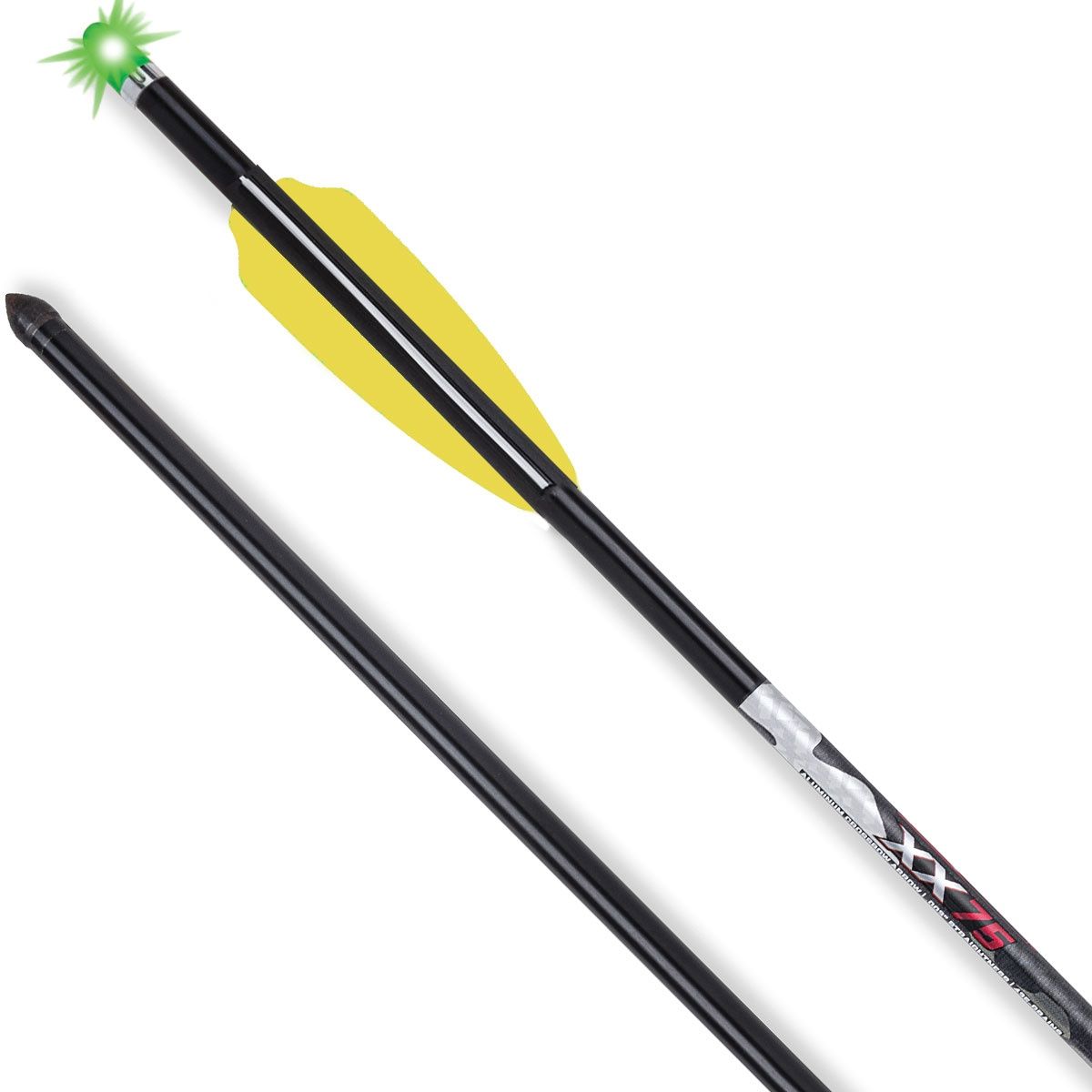 BOLT TEN POINT 20"  EVO-X LIGHTED ARROWS W/ ALPHA NOCK