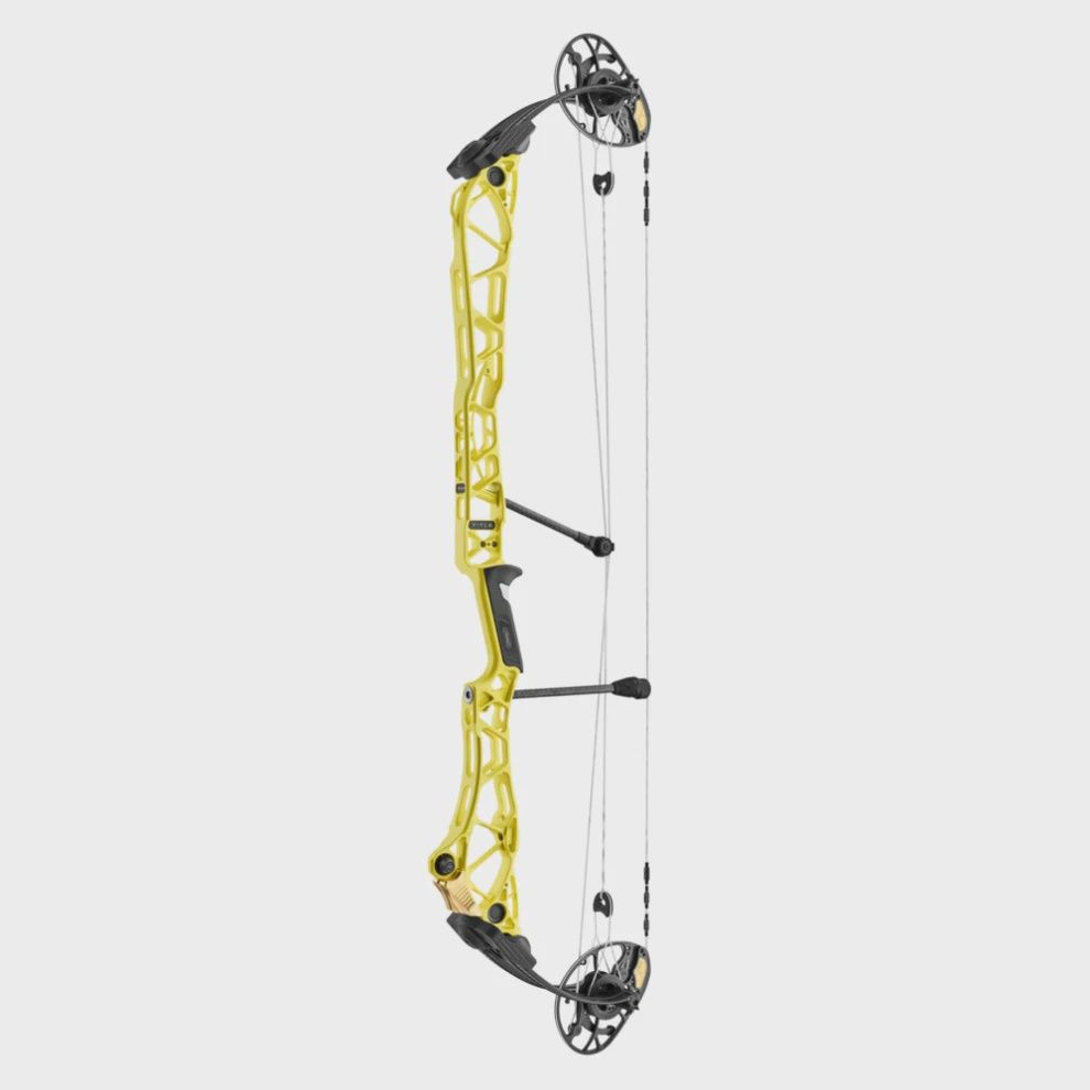 MATHEWS TITLE 40