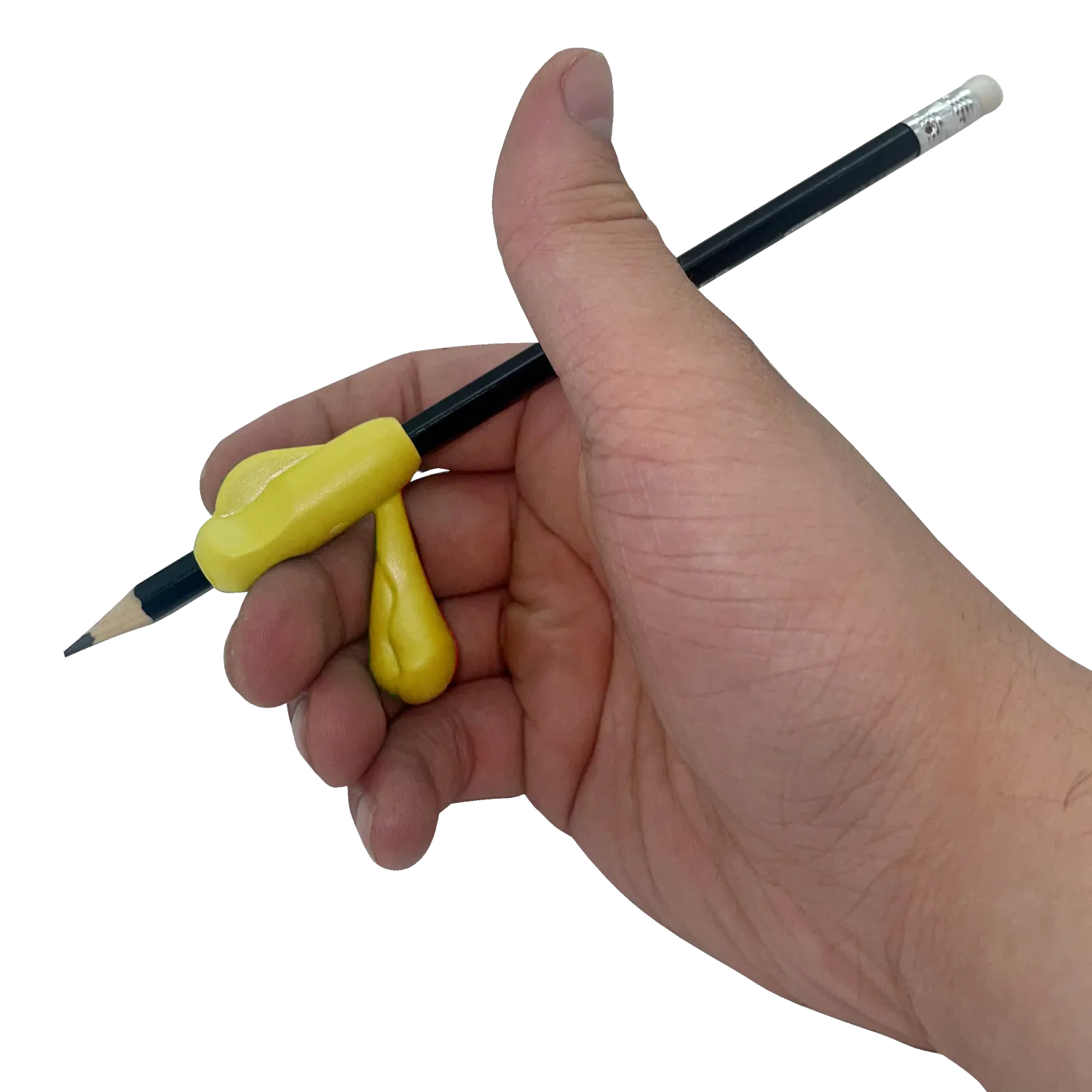 Pen Holder With Holder
