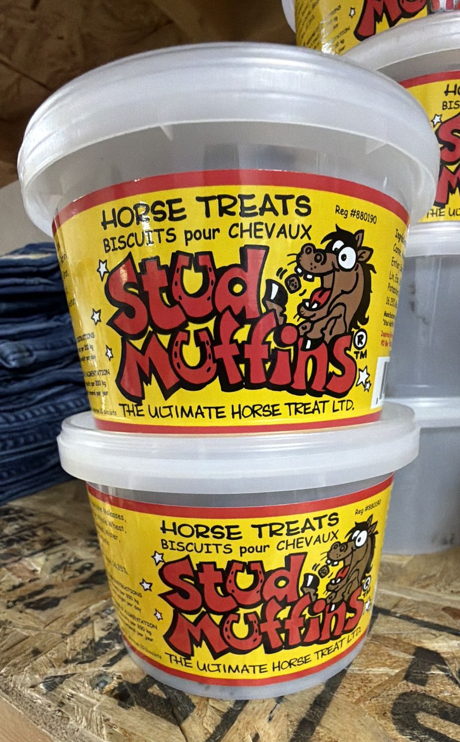Stud Muffin 10Oz Tub Cavalier 6350