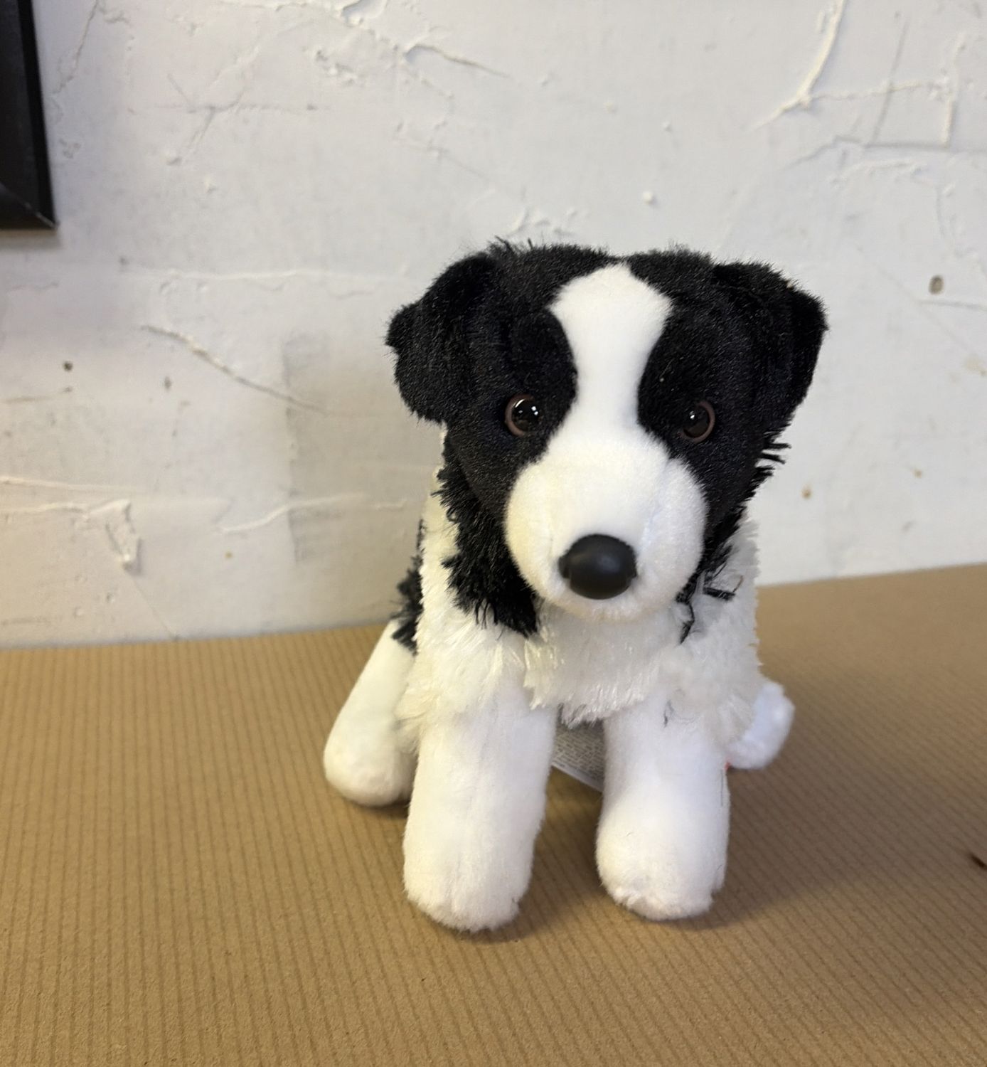 "Meadow" Border Collie Douglas 4009