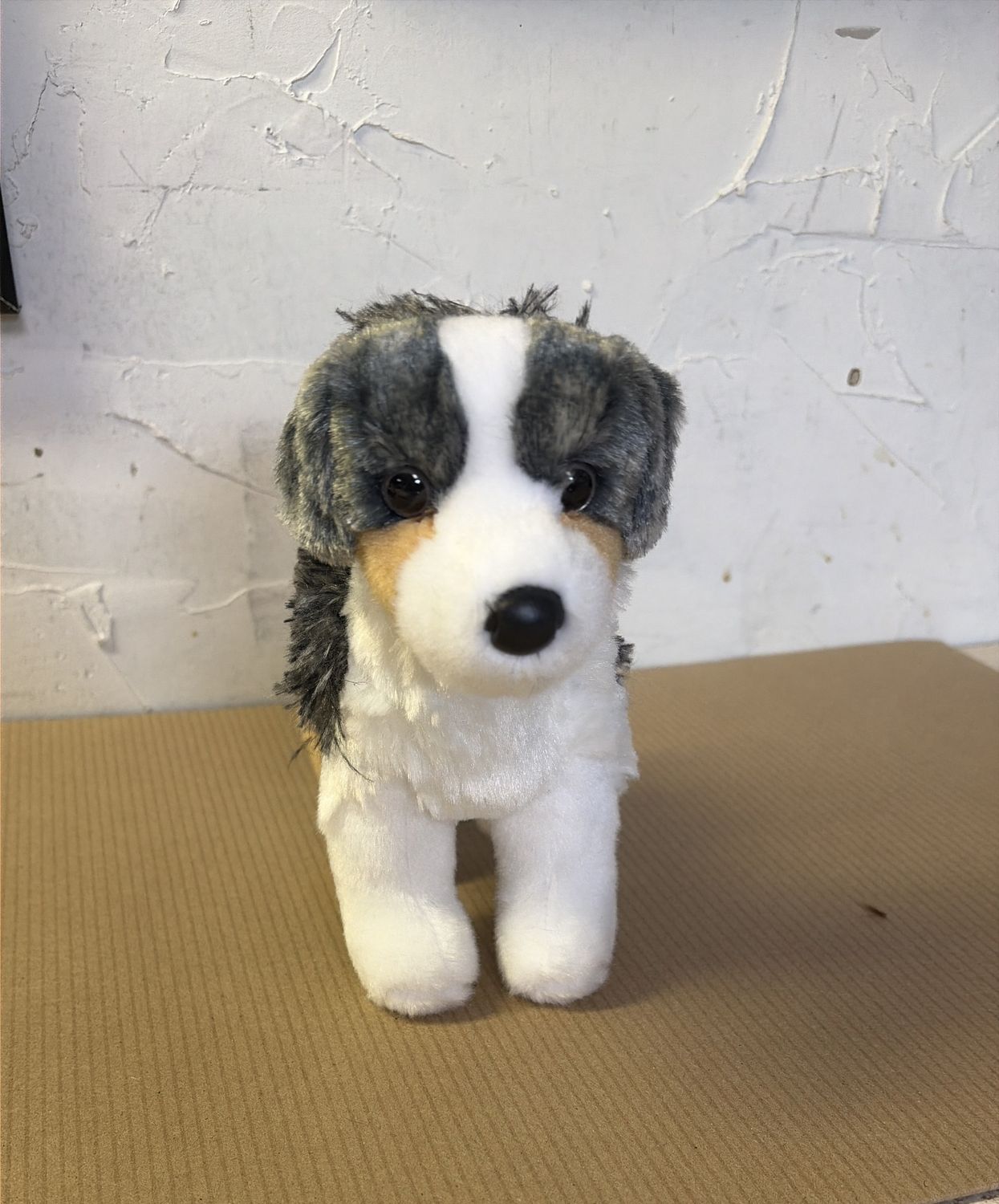 Steward Australian Shep Douglas 4019