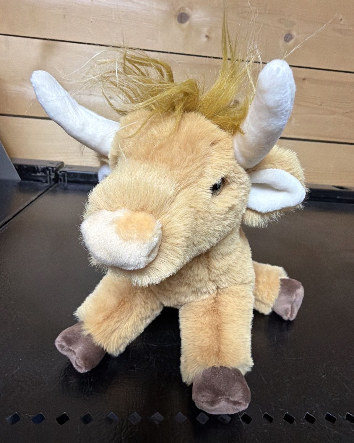 Scottie Highland Cow Douglas 4494