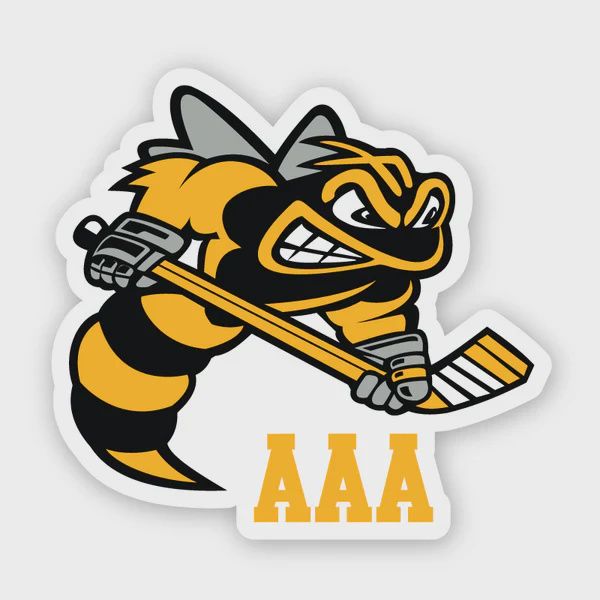 Lambton Jr. Sting AAA Vinyl Sticker 5"