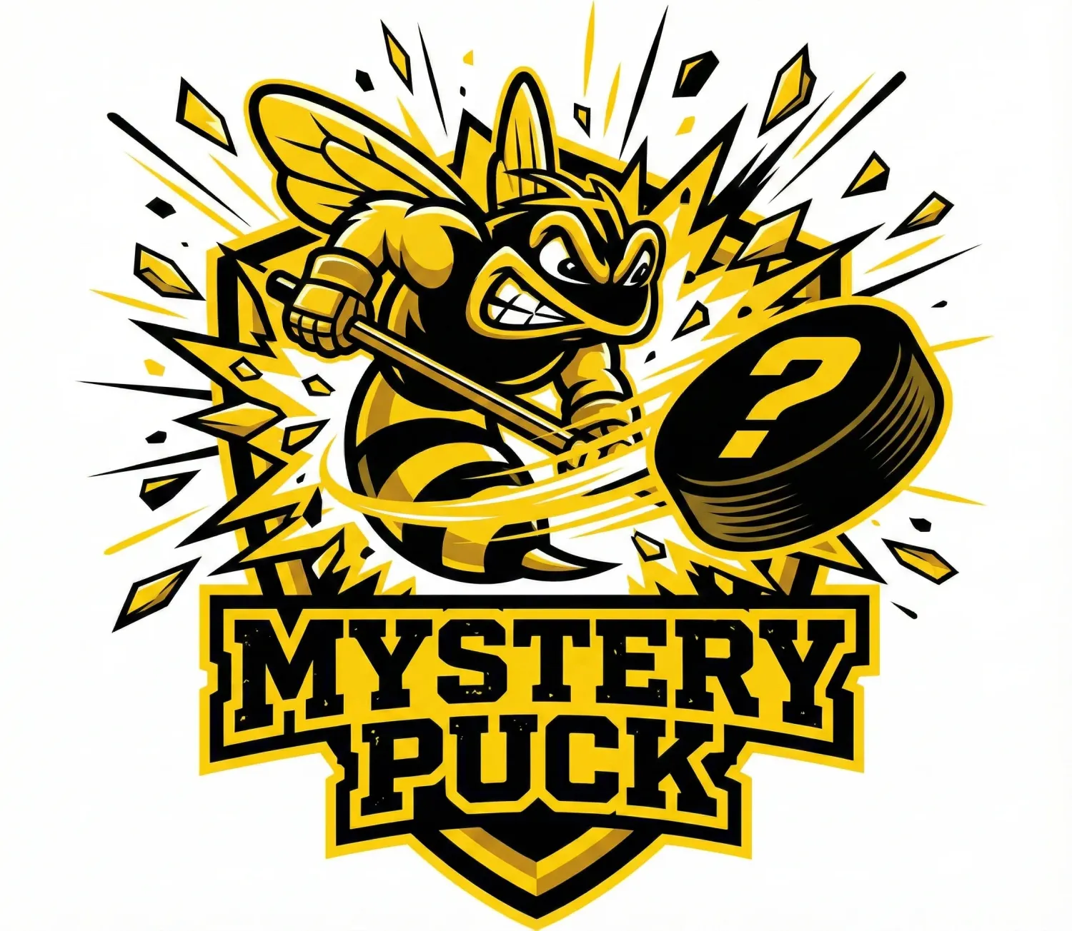 Mystery Warm Up Puck