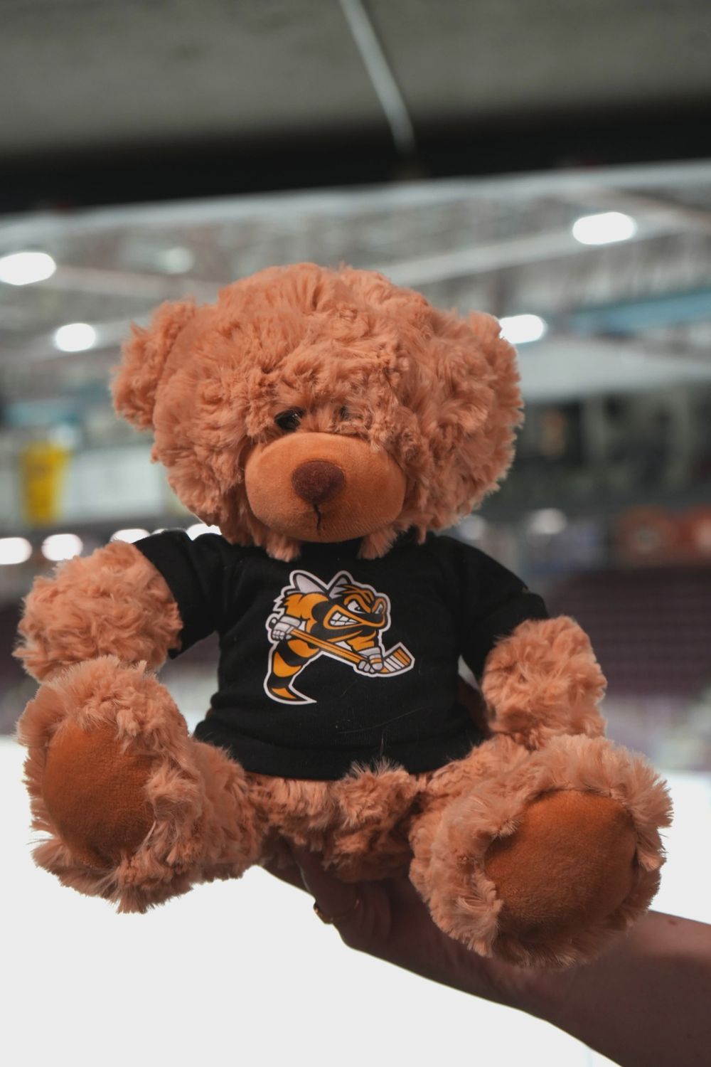 Sting Teddy Bear