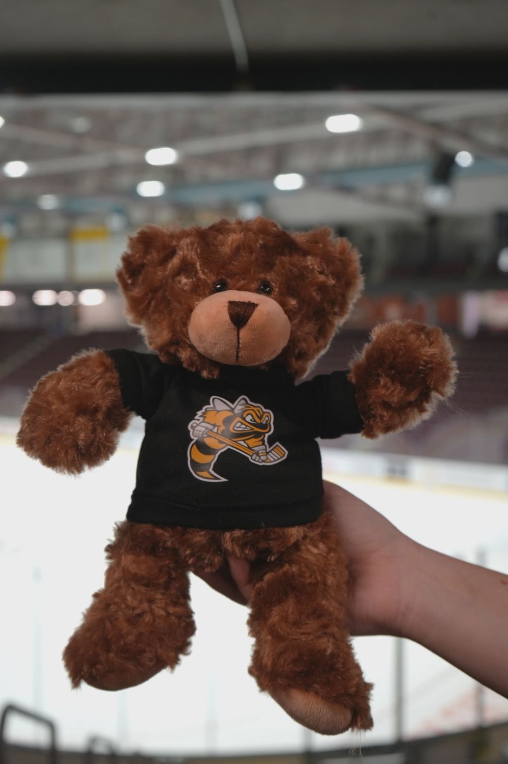Sting Teddy Bear