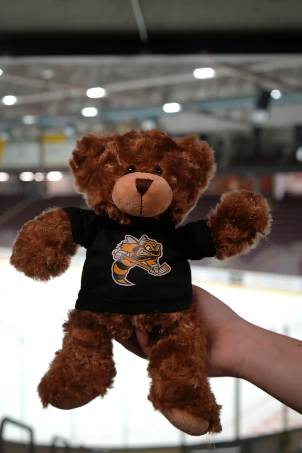 Sting Teddy Bear
