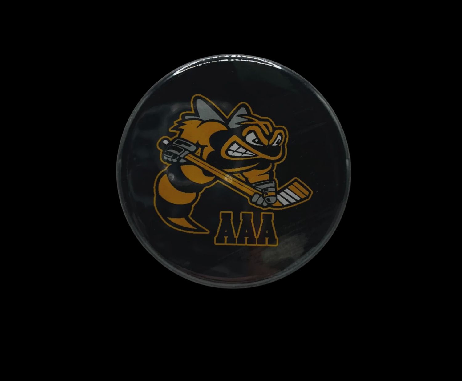 Lambton Jr. Sting AAA Magnet